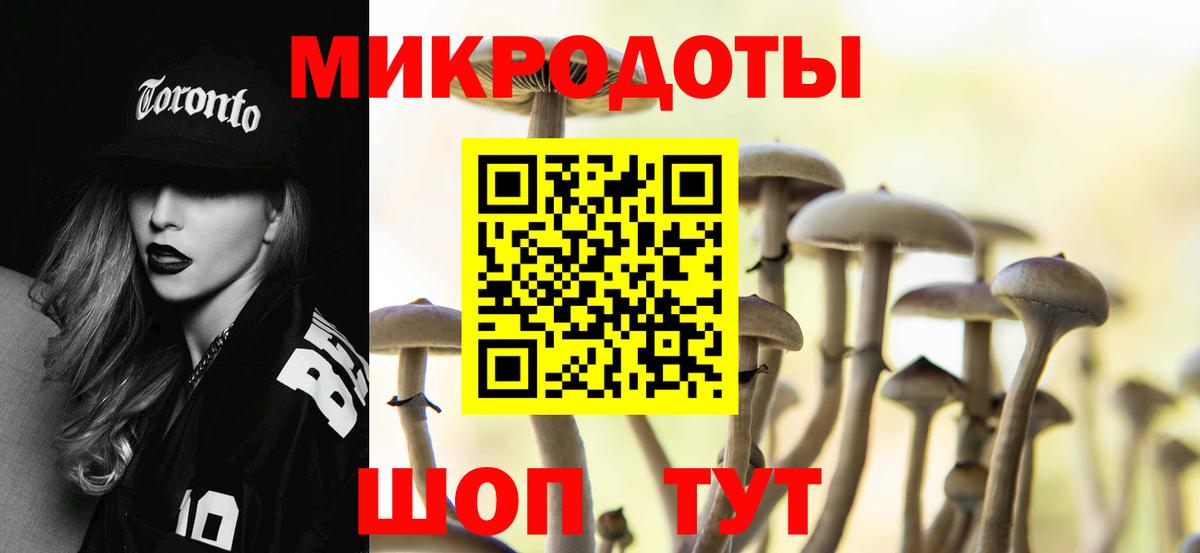 Псилоцибиновые грибы Psilocybine cubensis Лангепас